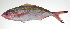 ( - PI-0140)  @11 [ ] CreativeCommons  Attribution Non-Commercial (by-nc) (2011) Unspecified Smithsonian Institution National Museum of Natural History