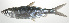  ( - PI-0160)  @11 [ ] CreativeCommons  Attribution Non-Commercial (by-nc) (2011) Unspecified Smithsonian Institution National Museum of Natural History