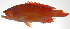  ( - PI-0165)  @11 [ ] CreativeCommons  Attribution Non-Commercial (by-nc) (2011) Unspecified Smithsonian Institution National Museum of Natural History