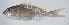  ( - PI-0251)  @11 [ ] CreativeCommons  Attribution Non-Commercial (by-nc) (2011) Unspecified Smithsonian Institution National Museum of Natural History