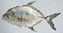  ( - PI-0256)  @11 [ ] CreativeCommons  Attribution Non-Commercial (by-nc) (2011) Unspecified Smithsonian Institution National Museum of Natural History
