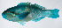  ( - PI-0270)  @11 [ ] CreativeCommons  Attribution Non-Commercial (by-nc) (2011) Unspecified Smithsonian Institution National Museum of Natural History