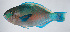  ( - PI-0272)  @11 [ ] CreativeCommons  Attribution Non-Commercial (by-nc) (2011) Unspecified Smithsonian Institution National Museum of Natural History