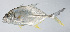  ( - PI-0280)  @11 [ ] CreativeCommons  Attribution Non-Commercial (by-nc) (2011) Unspecified Smithsonian Institution National Museum of Natural History