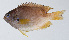  ( - PI-0310)  @11 [ ] CreativeCommons  Attribution Non-Commercial (by-nc) (2011) Unspecified Smithsonian Institution National Museum of Natural History