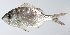  ( - PI-0328)  @11 [ ] CreativeCommons  Attribution Non-Commercial (by-nc) (2011) Unspecified Smithsonian Institution National Museum of Natural History