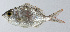  ( - PI-0329)  @11 [ ] CreativeCommons  Attribution Non-Commercial (by-nc) (2011) Unspecified Smithsonian Institution National Museum of Natural History
