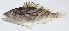  ( - PI-0362)  @11 [ ] CreativeCommons  Attribution Non-Commercial (by-nc) (2011) Unspecified Smithsonian Institution National Museum of Natural History