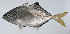  ( - PI-0402)  @11 [ ] CreativeCommons  Attribution Non-Commercial (by-nc) (2011) Unspecified Smithsonian Institution National Museum of Natural History