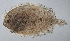  ( - PI-0450)  @11 [ ] CreativeCommons  Attribution Non-Commercial (by-nc) (2011) Unspecified Smithsonian Institution National Museum of Natural History