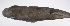  ( - LUZ-068)  @11 [ ] CreativeCommons  Attribution Non-Commercial (by-nc) (2017) Unspecified Smithsonian Institution National Museum of Natural History
