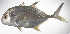  ( - LUZ-159)  @11 [ ] CreativeCommons  Attribution Non-Commercial (by-nc) (2017) Unspecified Smithsonian Institution National Museum of Natural History