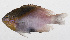  ( - PHI-232)  @11 [ ] CreativeCommons  Attribution Non-Commercial (by-nc) (2013) Unspecified Smithsonian Institution National Museum of Natural History