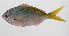  ( - PHI-218)  @11 [ ] CreativeCommons  Attribution Non-Commercial (by-nc) (2013) Unspecified Smithsonian Institution National Museum of Natural History