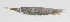  ( - PHI-273)  @11 [ ] CreativeCommons  Attribution Non-Commercial (by-nc) (2013) Unspecified Smithsonian Institution National Museum of Natural History