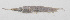  ( - PHI-272)  @11 [ ] CreativeCommons  Attribution Non-Commercial (by-nc) (2013) Unspecified Smithsonian Institution National Museum of Natural History