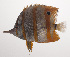  ( - VIS-156)  @11 [ ] CreativeCommons  Attribution Non-Commercial (by-nc) (2015) Unspecified Smithsonian Institution National Museum of Natural History