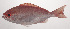  ( - VIS-251)  @11 [ ] CreativeCommons  Attribution Non-Commercial (by-nc) (2015) Unspecified Smithsonian Institution National Museum of Natural History