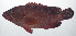  ( - VIS-280)  @11 [ ] CreativeCommons  Attribution Non-Commercial (by-nc) (2015) Unspecified Smithsonian Institution National Museum of Natural History