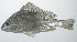  ( - VIS-282)  @11 [ ] CreativeCommons  Attribution Non-Commercial (by-nc) (2015) Unspecified Smithsonian Institution National Museum of Natural History
