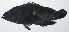  ( - VIS-303)  @11 [ ] CreativeCommons  Attribution Non-Commercial (by-nc) (2015) Unspecified Smithsonian Institution National Museum of Natural History