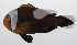  ( - PHIL-086)  @11 [ ] CreativeCommons  Attribution Non-Commercial (by-nc) (2015) Unspecified Smithsonian Institution National Museum of Natural History