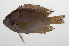  ( - PHIL-315)  @11 [ ] CreativeCommons  Attribution Non-Commercial (by-nc) (2015) Unspecified Smithsonian Institution National Museum of Natural History