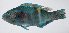  ( - PI-0285)  @11 [ ] CreativeCommons  Attribution Non-Commercial (by-nc) (2011) Unspecified Smithsonian Institution National Museum of Natural History