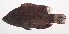  ( - VIS-105)  @11 [ ] CreativeCommons  Attribution Non-Commercial (by-nc) (2015) Unspecified Smithsonian Institution National Museum of Natural History