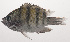  ( - VIS-064)  @11 [ ] CreativeCommons  Attribution Non-Commercial (by-nc) (2015) Unspecified Smithsonian Institution National Museum of Natural History