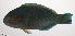  ( - VIS-120)  @11 [ ] CreativeCommons  Attribution Non-Commercial (by-nc) (2015) Unspecified Smithsonian Institution National Museum of Natural History