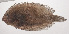  ( - VIS-204)  @11 [ ] CreativeCommons  Attribution Non-Commercial (by-nc) (2015) Unspecified Smithsonian Institution National Museum of Natural History