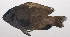  ( - VIS-269)  @11 [ ] CreativeCommons  Attribution Non-Commercial (by-nc) (2015) Unspecified Smithsonian Institution National Museum of Natural History