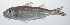  ( - VIS-289)  @11 [ ] CreativeCommons  Attribution Non-Commercial (by-nc) (2015) Unspecified Smithsonian Institution National Museum of Natural History