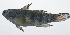 ( - VIS-322)  @11 [ ] CreativeCommons  Attribution Non-Commercial (by-nc) (2015) Unspecified Smithsonian Institution National Museum of Natural History