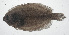  ( - VIS-341)  @11 [ ] CreativeCommons  Attribution Non-Commercial (by-nc) (2015) Unspecified Smithsonian Institution National Museum of Natural History
