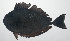  ( - VIS-351)  @11 [ ] CreativeCommons  Attribution Non-Commercial (by-nc) (2015) Unspecified Smithsonian Institution National Museum of Natural History