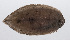 ( - PHIL-016)  @11 [ ] CreativeCommons  Attribution Non-Commercial (by-nc) (2015) Unspecified Smithsonian Institution National Museum of Natural History