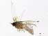  ( - BIOUG01146-A03)  @12 [ ] CreativeCommons - Attribution (2012) CBG Photography Group Centre for Biodiversity Genomics