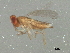  ( - BIOUG01133-B06)  @13 [ ] CreativeCommons - Attribution (2012) CBG Photography Group Centre for Biodiversity Genomics