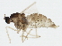  ( - BIOUG01118-B01)  @13 [ ] CreativeCommons - Attribution (2012) CBG Photography Group Centre for Biodiversity Genomics