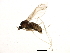  ( - BIOUG01122-C02)  @12 [ ] CreativeCommons - Attribution (2012) CBG Photography Group Centre for Biodiversity Genomics