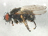  ( - BIOUG01143-B01)  @14 [ ] CreativeCommons - Attribution (2012) CBG Photography Group Centre for Biodiversity Genomics