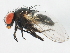  ( - BIOUG01143-D11)  @13 [ ] CreativeCommons - Attribution (2012) CBG Photography Group Centre for Biodiversity Genomics