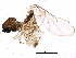  ( - BIOUG01445-H03)  @12 [ ] CreativeCommons - Attribution (2012) CBG Photography Group Centre for Biodiversity Genomics