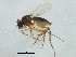  ( - BIOUG01478-D06)  @13 [ ] CreativeCommons - Attribution (2012) CBG Photography Group Centre for Biodiversity Genomics
