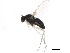  ( - BIOUG01485-D07)  @13 [ ] CreativeCommons - Attribution (2012) CBG Photography Group Centre for Biodiversity Genomics