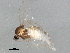  ( - BIOUG01480-F11)  @12 [ ] CreativeCommons - Attribution (2012) CBG Photography Group Centre for Biodiversity Genomics