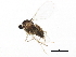  ( - BIOUG01491-F11)  @13 [ ] CreativeCommons - Attribution (2012) CBG Photography Group Centre for Biodiversity Genomics