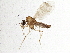  ( - BIOUG01492-G08)  @13 [ ] CreativeCommons - Attribution (2013) CBG Photography Group Centre for Biodiversity Genomics